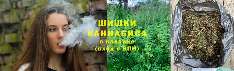 Бошки марихуана THC 21%  Всеволожск 